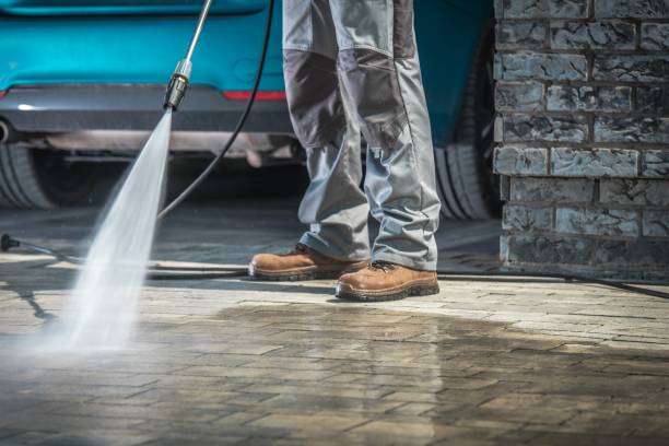 Best Boat and Dock Cleaning  in Roosevelt, NJ