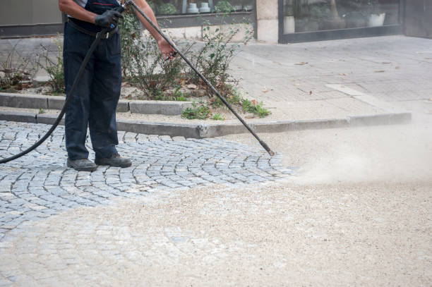 Best Concrete Sealing  in Roosevelt, NJ