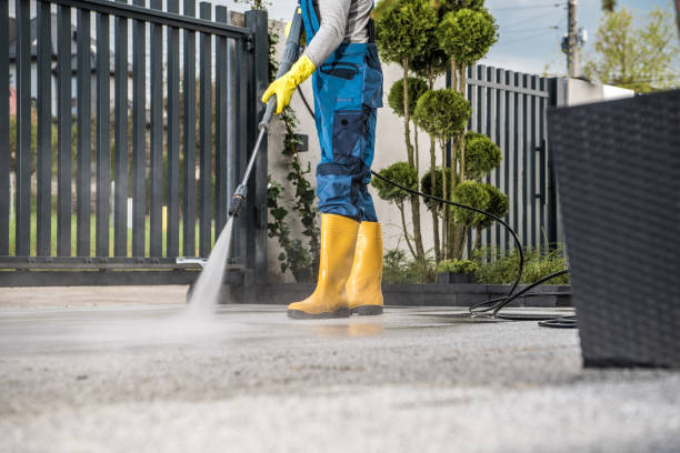 Best Solar Panel Cleaning  in Roosevelt, NJ
