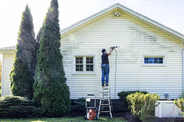 Best Dumpster Area Cleaning  in Roosevelt, NJ